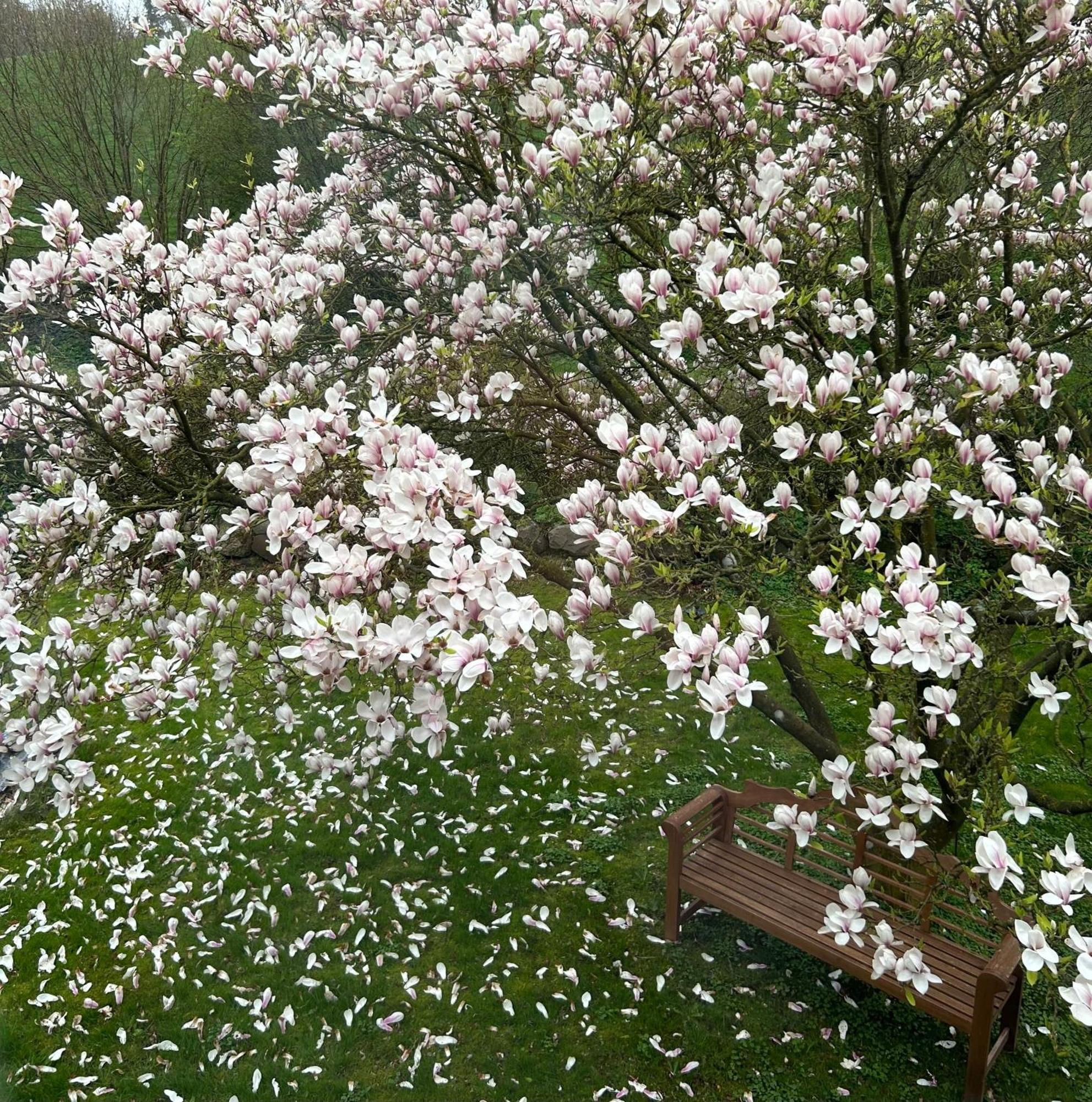 Ferien Und Freizeithof Engelau - Zi 6 Giekau Exterior foto